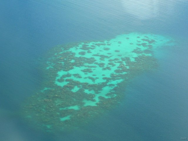 51- Un banc de sable et de corail dans le lagon 